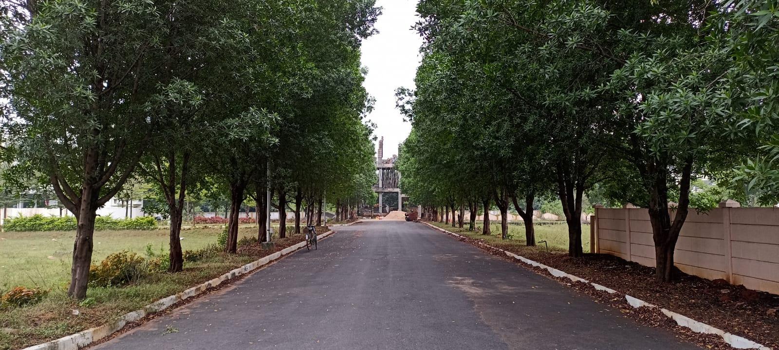 Highway facing plots Anandapuram, Highway facing plots R Thallavalasa,