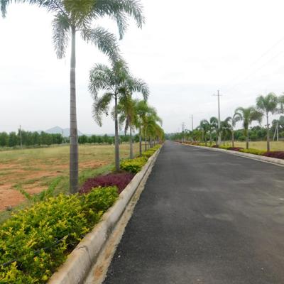 Gated community plots Dakamarri, Open plots near Rajapulova, Residential plots for sale in Dakamarri