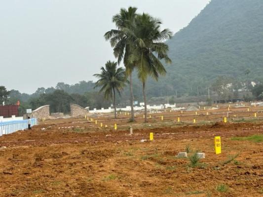 Leo Valley open plots for sale, Pinagadi, Residential plots near Pinagadi, VMRDA approved plots Pinagadi,