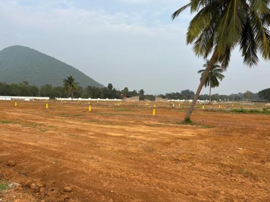Leo Valley open plots for sale, Pinagadi, Residential plots near Pinagadi, VMRDA approved plots Pinagadi,