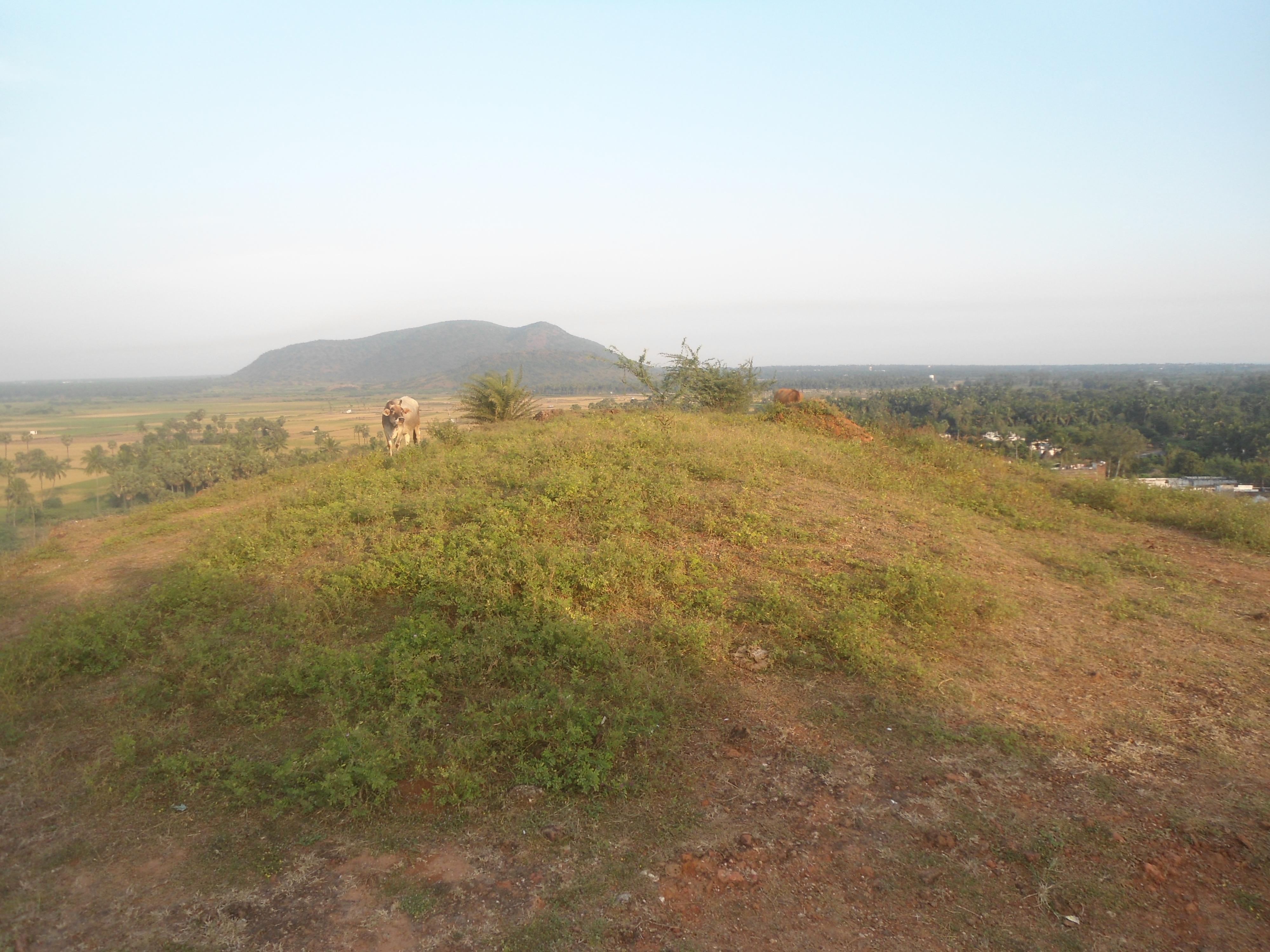 Bhogapuram plots for sale, VMRDA approved plots Bhogapuram, Open plots Bhogapuram