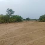 PREMIUM VILLA PLOTS IN BHOGAPURAM, GATED COMMUNITY PLOTS IN BHOGAPURAM