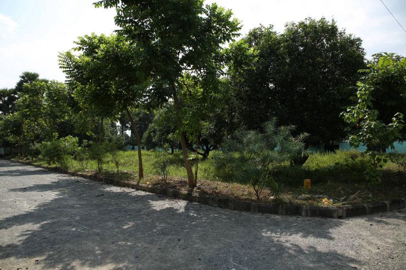 OPEN PLOTS IN TAGARAPUVALASA, PREMIU GATED COMMUNITY PLOTS IN TAGARAPUVALASA,