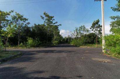 OPEN PLOTS IN TAGARAPUVALASA, PREMIU GATED COMMUNITY PLOTS IN TAGARAPUVALASA,