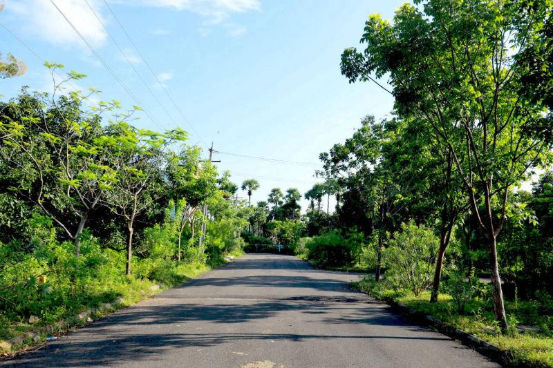 OPEN PLOTS IN TAGARAPUVALASA, PREMIU GATED COMMUNITY PLOTS IN TAGARAPUVALASA,