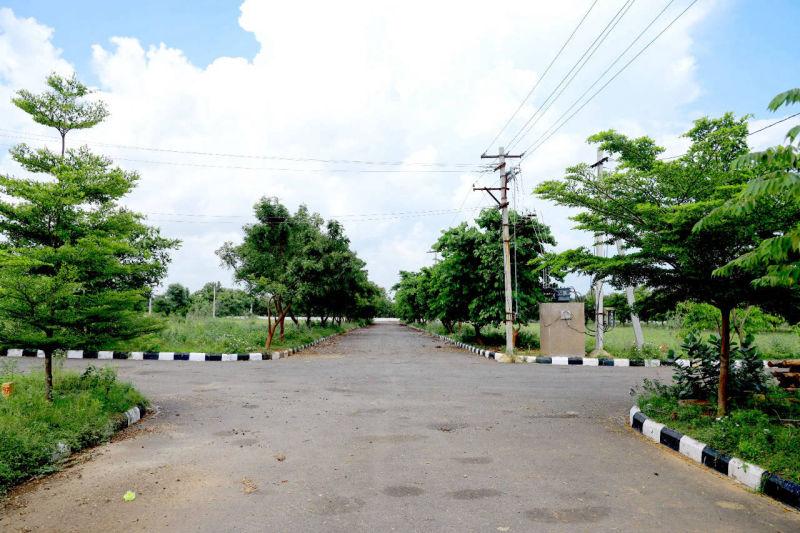OPEN PLOTS IN TAGARAPUVALASA, PLOTS NEAR TAGARAPUVALASA, RESIDENTIAL PLOTS IN TAGARAPUVALASA