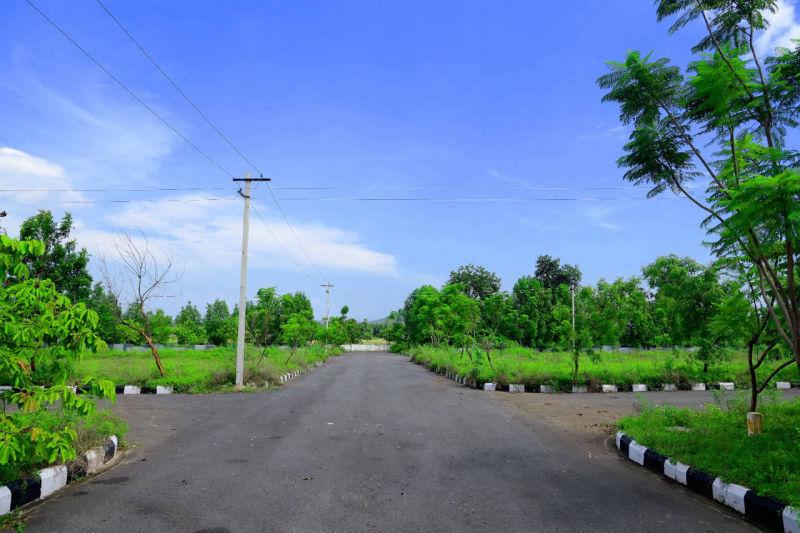 OPEN PLOTS IN TAGARAPUVALASA, PLOTS NEAR TAGARAPUVALASA, RESIDENTIAL PLOTS IN TAGARAPUVALASA