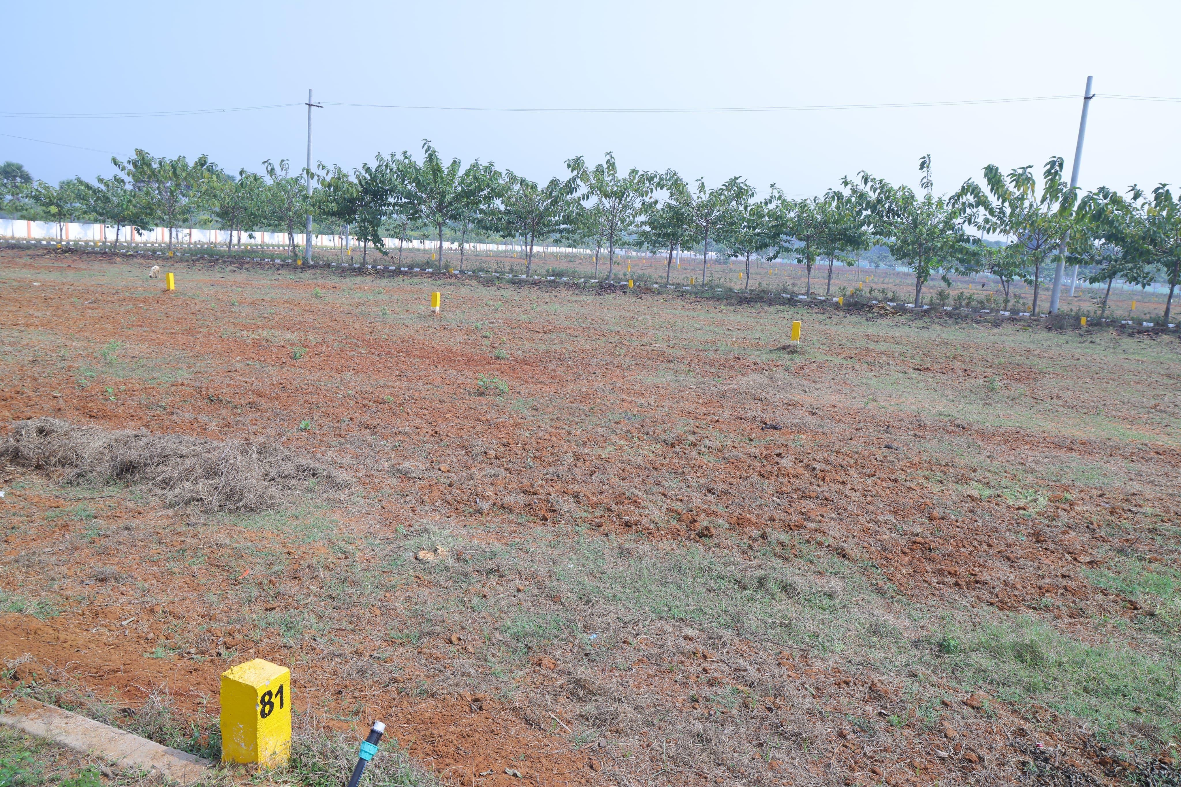 PLOTS IN BHEEMILI, Premium Plots in Bheemili, HARBOUR CITY RESALE PLOTS IN BHEEMILI