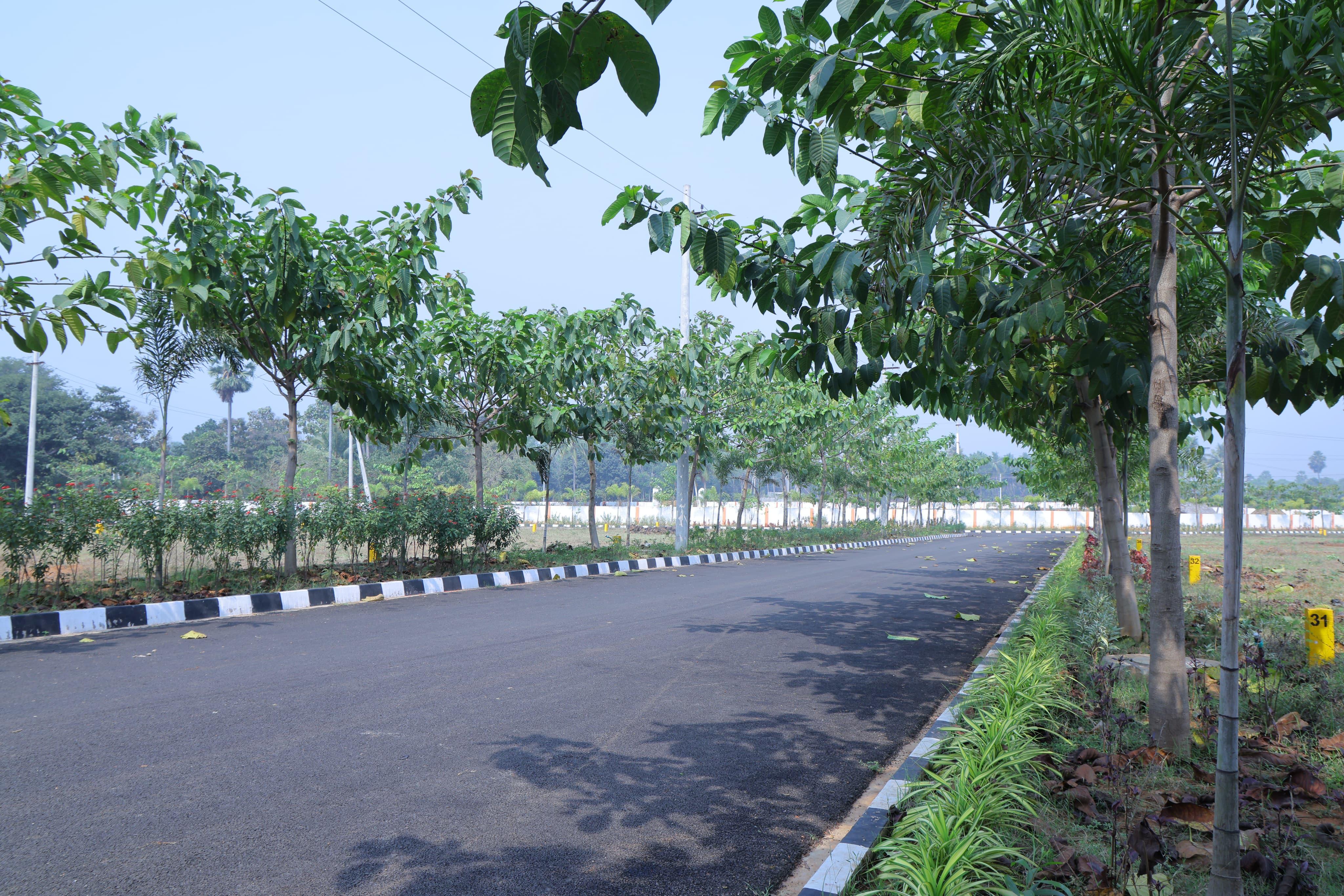 PLOTS IN BHEEMILI, Premium Plots in Bheemili, HARBOUR CITY RESALE PLOTS IN BHEEMILI