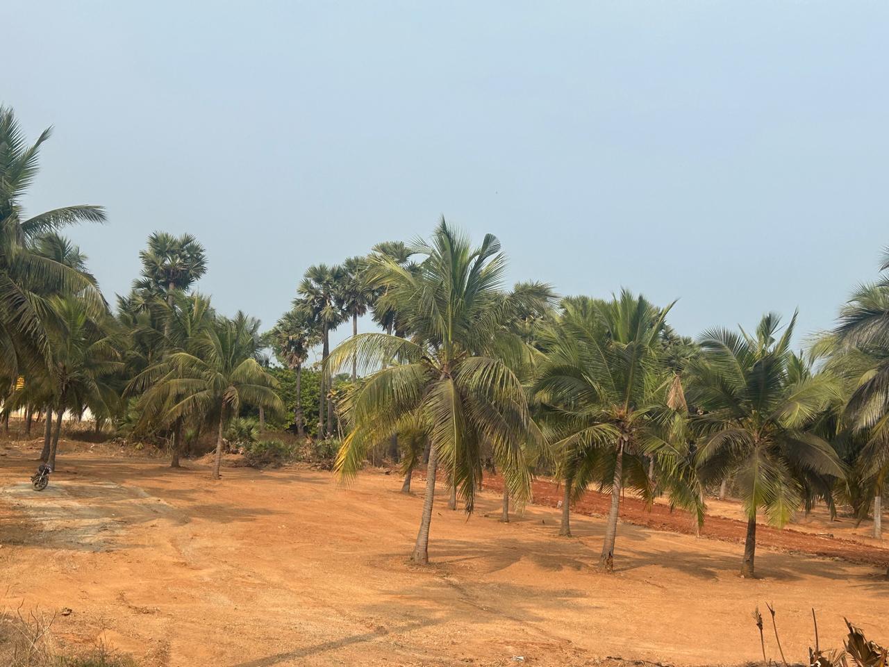 BEACH FACING PLOTS IN BHOGAPURAM  PREMIUM BEACH VIEW PLOTS VIZAG  BEACH SIDE PLOTS IN BHOGAPURAM