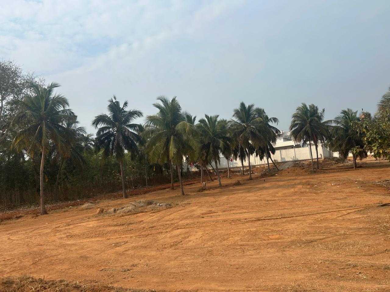 BEACH VIEW PLOTS IN BHOGAPURAM , SEA VIEW PLOTS IN BHOGAPURAM,  COASTAL VIEW PLOTS IN BHOGAPURAM