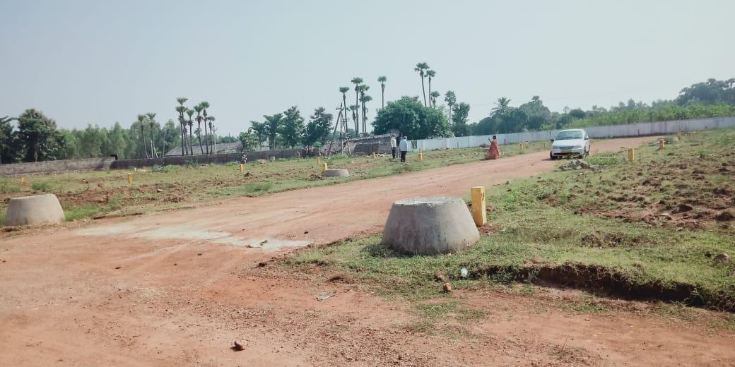 nandanavanam visishta