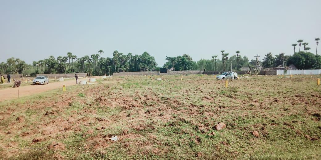 nandanavanam visishta