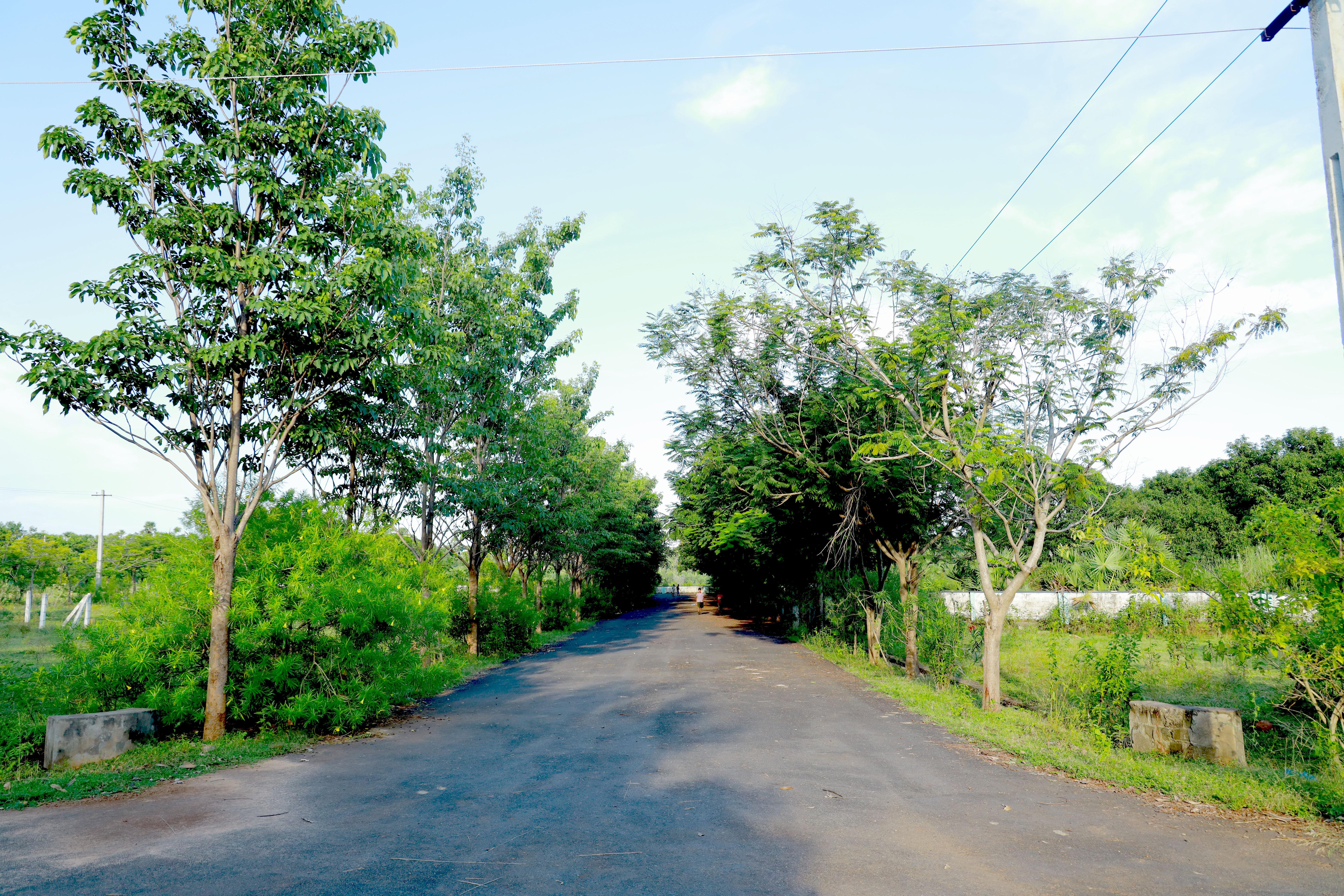 NANDANAVANAM III