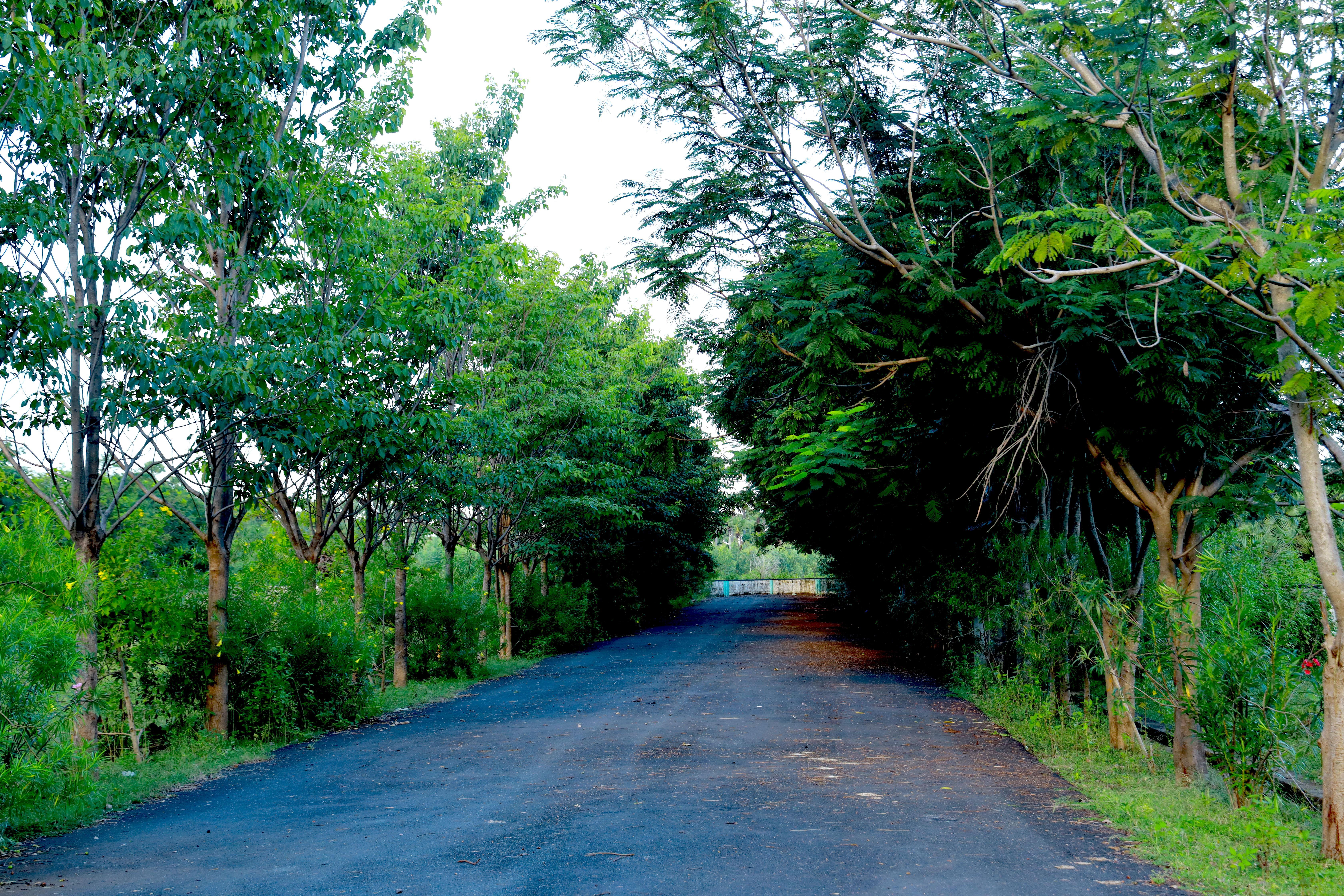 NANDANAVANAM III