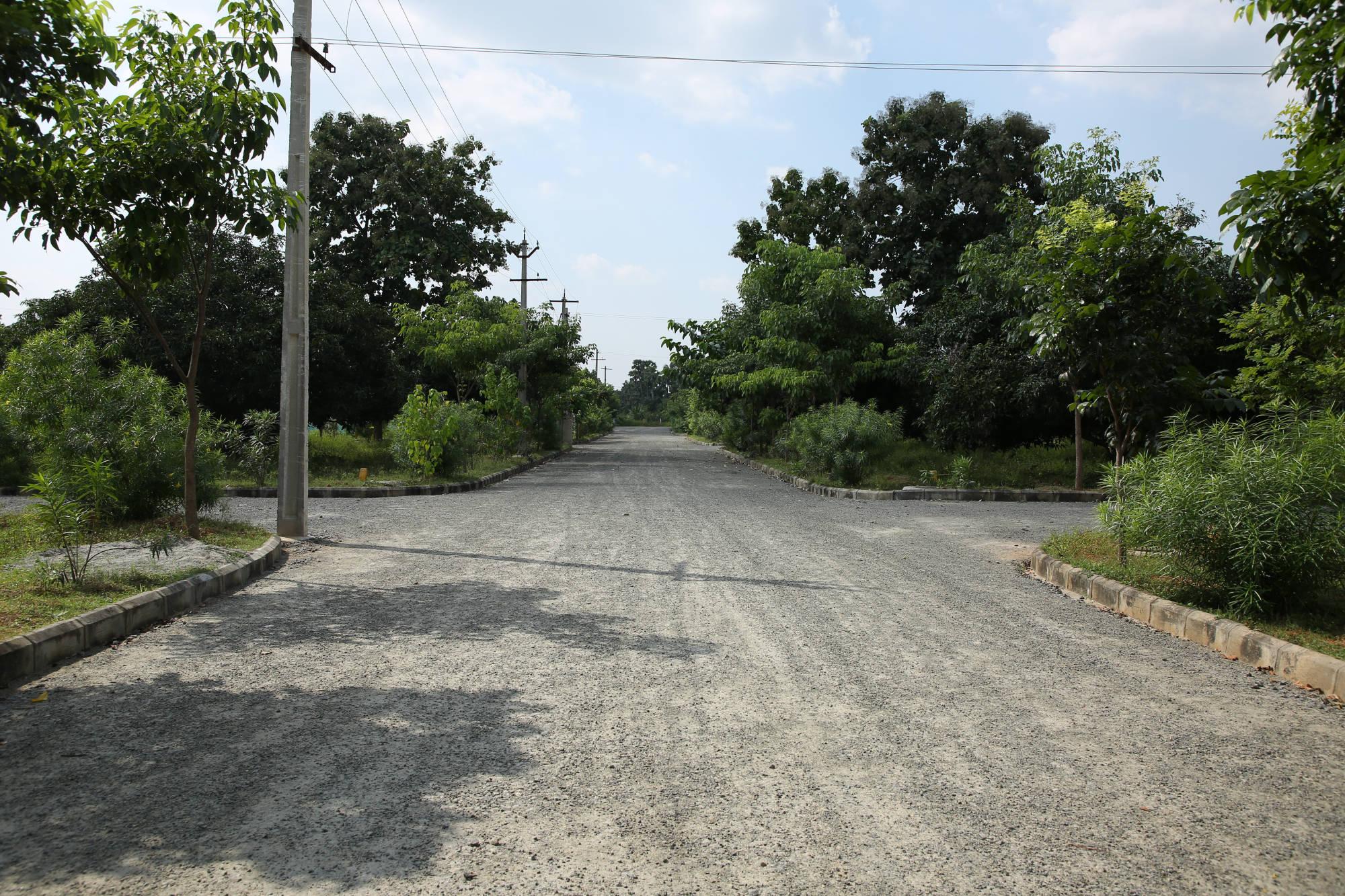 NANDANAVANAM 4