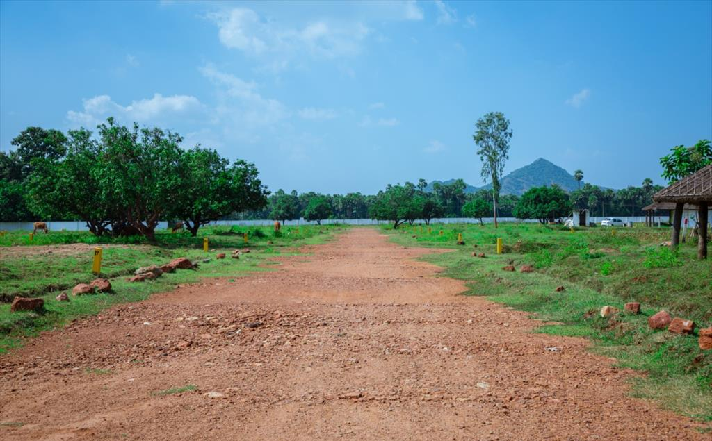 nandanavanam visishta