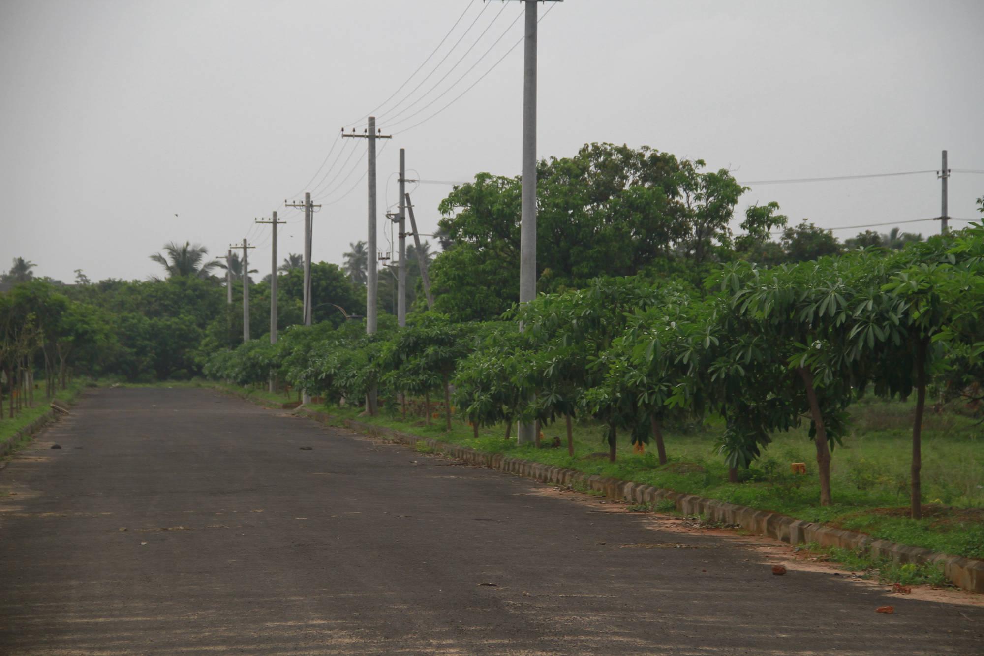 NANDANAVANAM-II