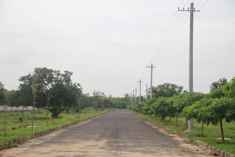 NANDANAVANAM-II