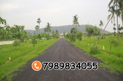 SREYA GARDENS-II