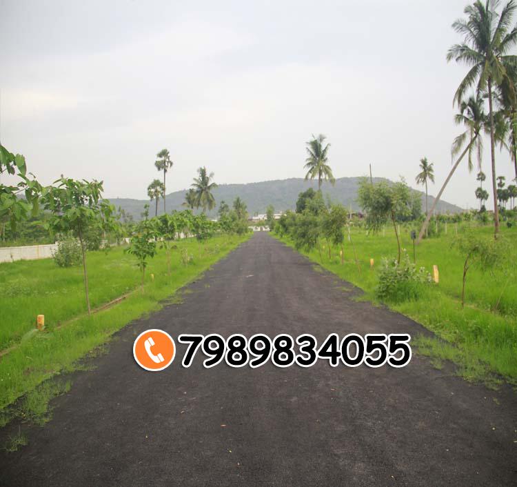 SREYA GARDENS-II