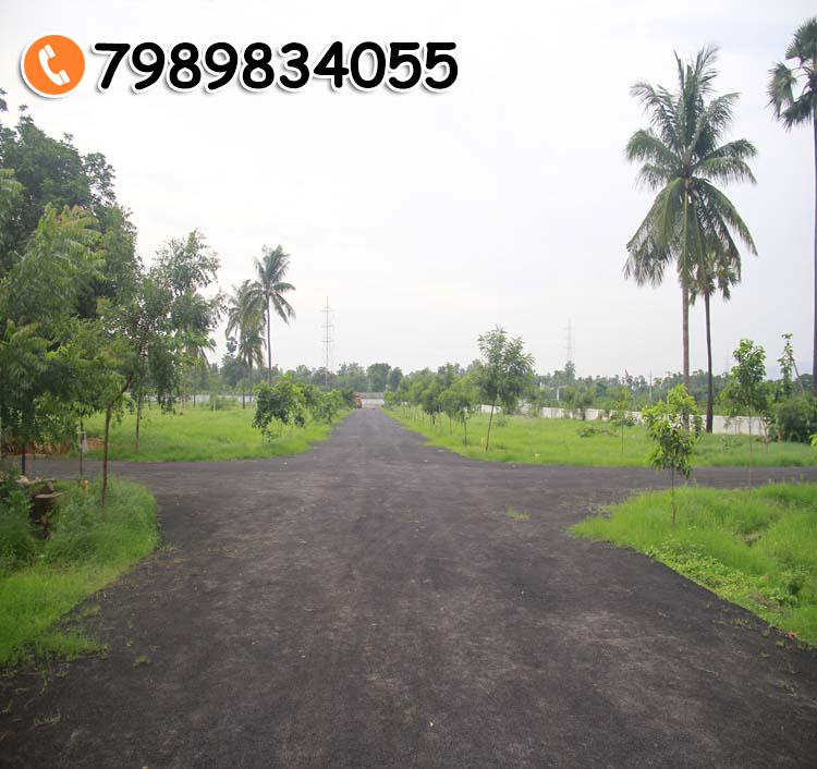 SREYA GARDENS-II