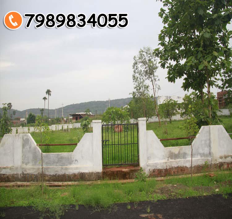 SREYA GARDENS-II
