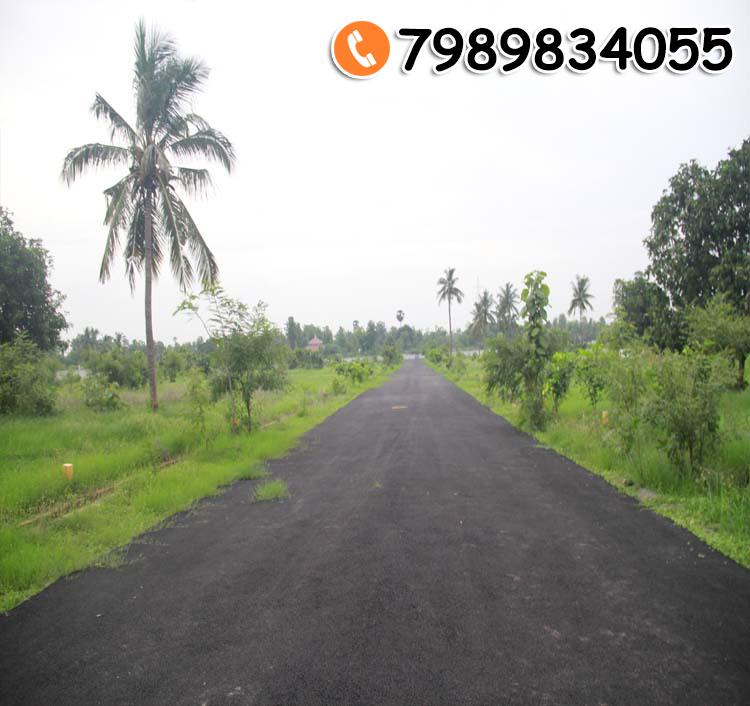 SREYA GARDENS-II