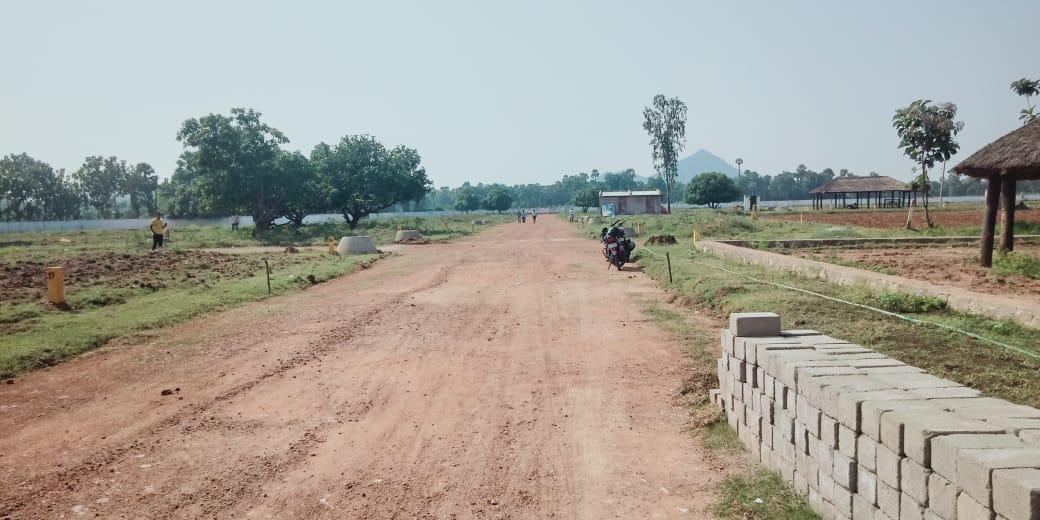 NANDANAVANAM VISISHTA DAKAMARRI