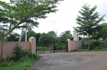ALLURI'S NANDANAVANAM