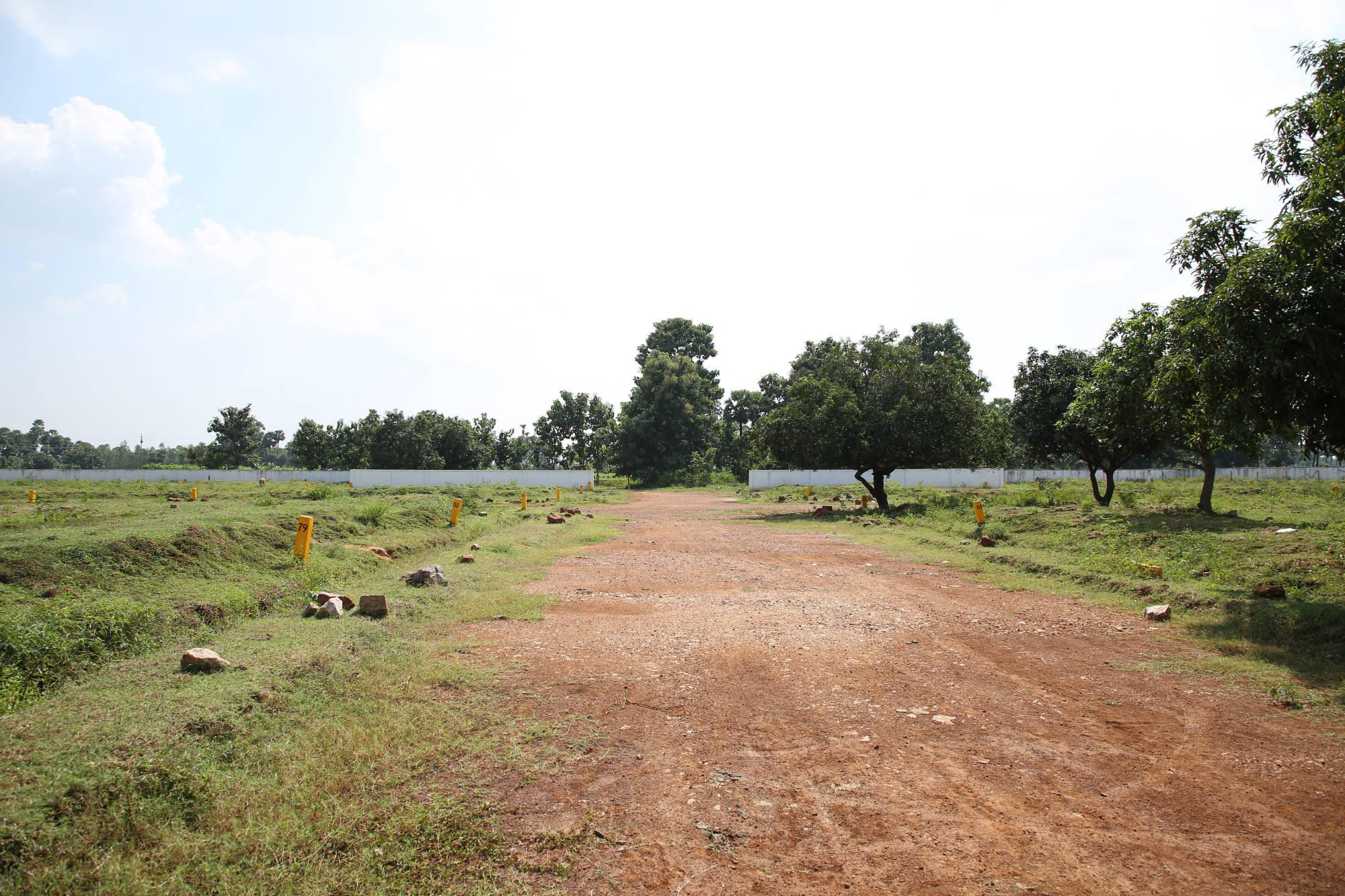 NANDANAVANAM VISISHTA DAKAMARRI