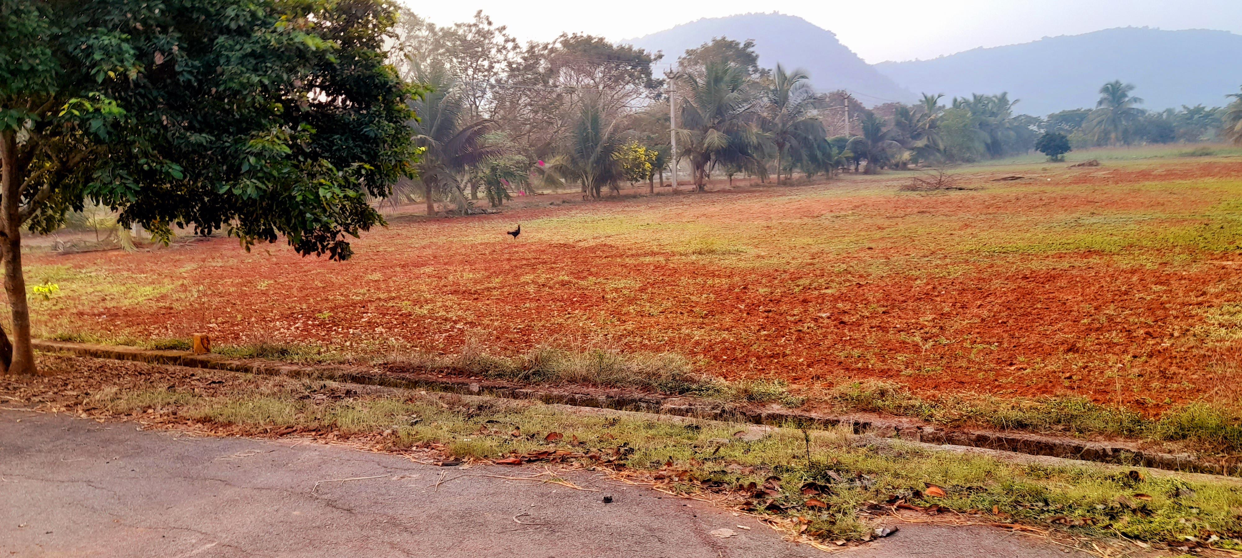 BALAJI HILL COUNTY PARAWADA