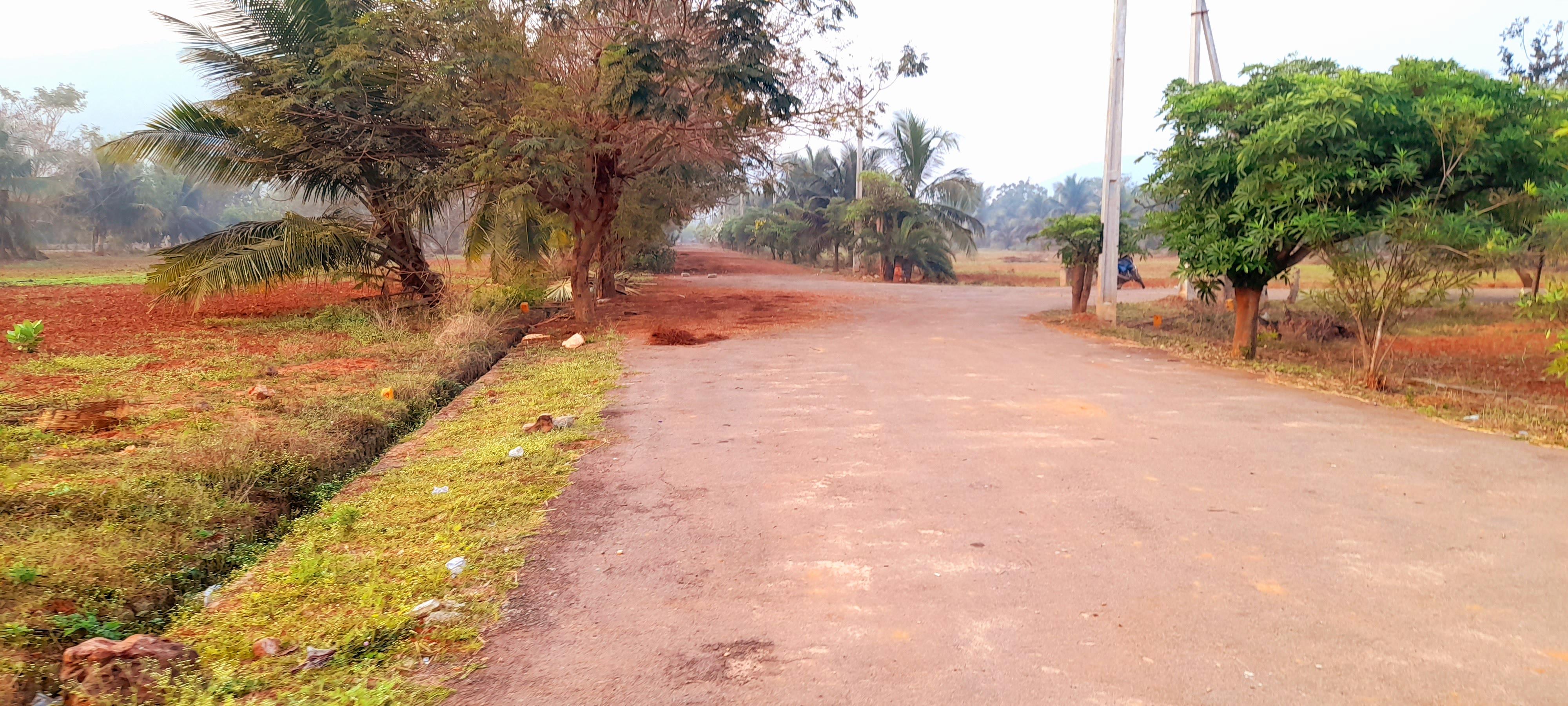 BALAJI HILL COUNTY PARAWADA
