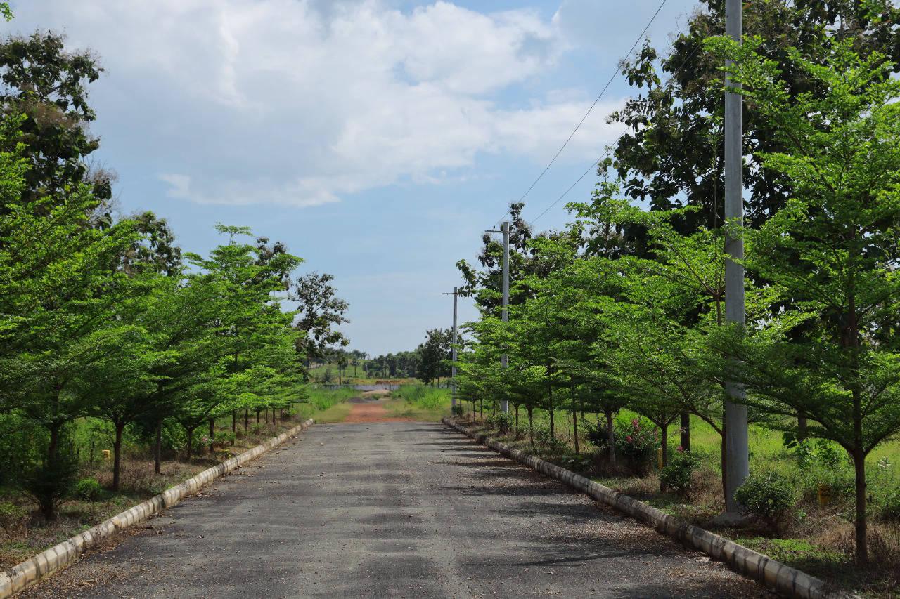 ALLURI'S NANDANAVANAM