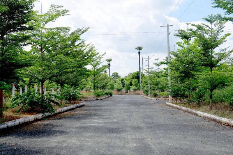 ALLURI'S NANDANAVANAM