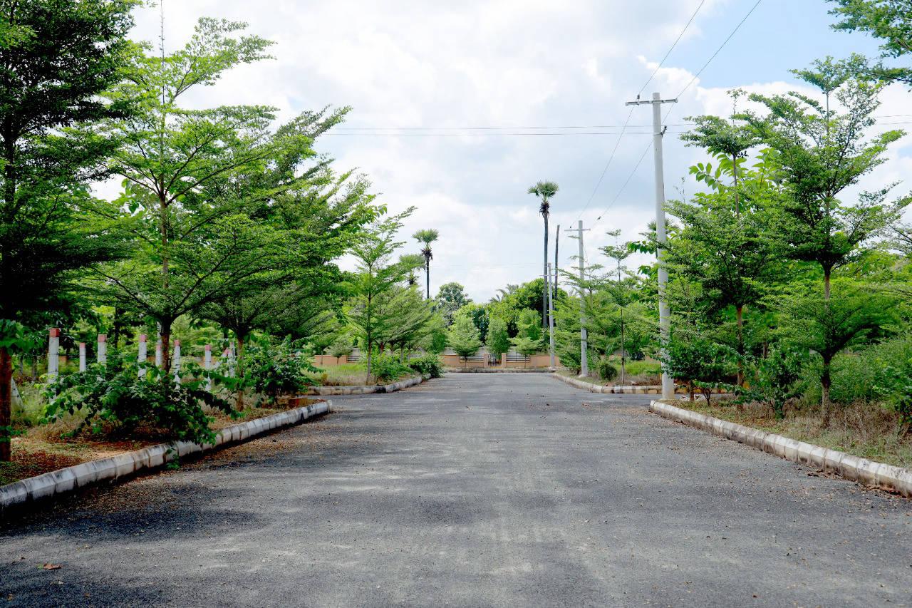 ALLURI'S NANDANAVANAM PHASE-III