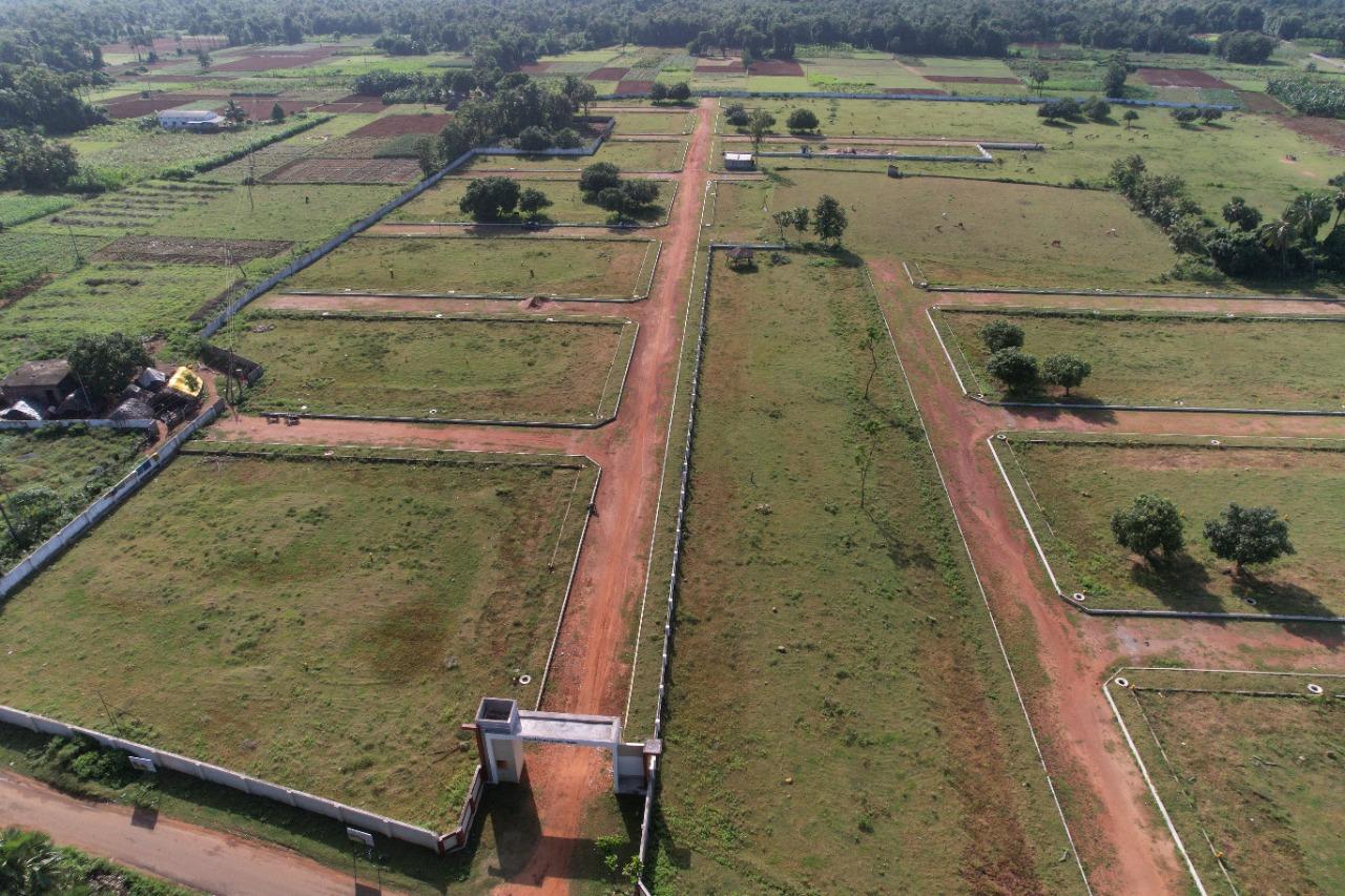 NANDANAVANAM VISISHTA DAKAMARRI