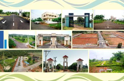 ALLURI'S NANDANAVANAM III
