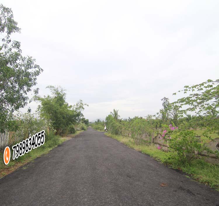 BALAJI HILL COUNTY PARAWADA