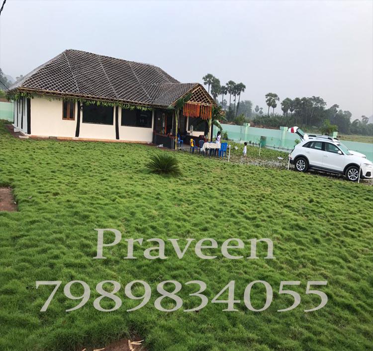 NANDANAVANAMSATVIKA:DUVVADA