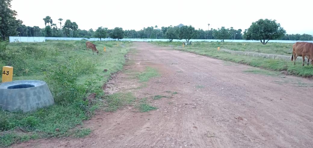 NANDANAVANAM VISISHTA PHASE II
