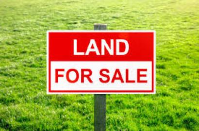 10.14 Acras & 10.25 Acras Land for Sale| Cashew & Teak Tree Plantation| Liviri,Bhamini Mandal,Parvathipuram Manyam District
