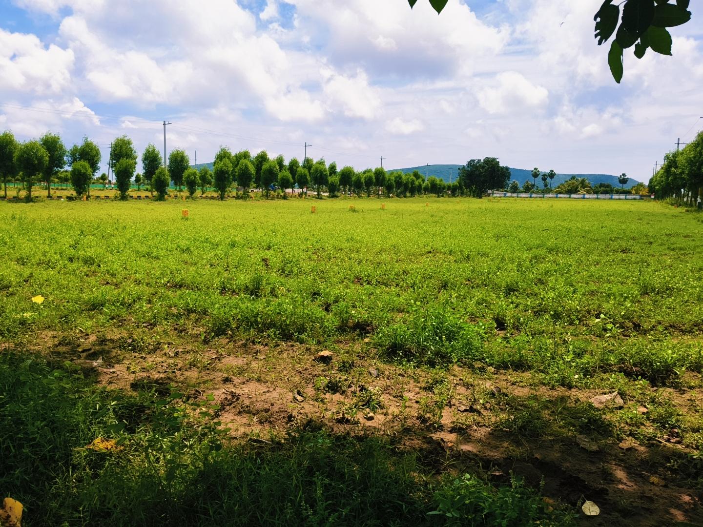 VISHNUPURAM PLOTS FOR SALE IN BHOGAPURAM, BHEEMILI RESIDENTIAL PLOTS FOR SALE