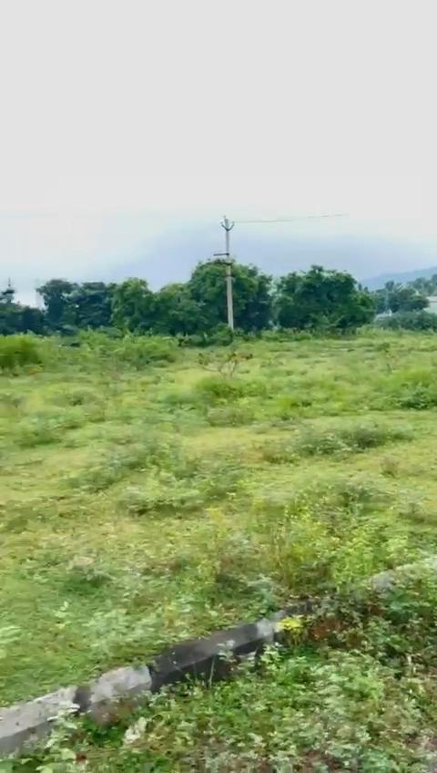 PLOTS FOR SALE AT RAJULA THALAVALASA, OPEN PLOT SALE IN RAJULA THALAVALSA ,Rainbow Estates, Tallavalasa