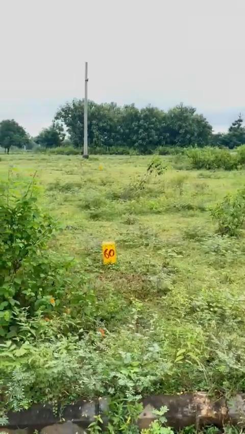 PLOTS FOR SALE AT RAJULA THALAVALASA, OPEN PLOT SALE IN RAJULA THALAVALSA ,Rainbow Estates, Tallavalasa
