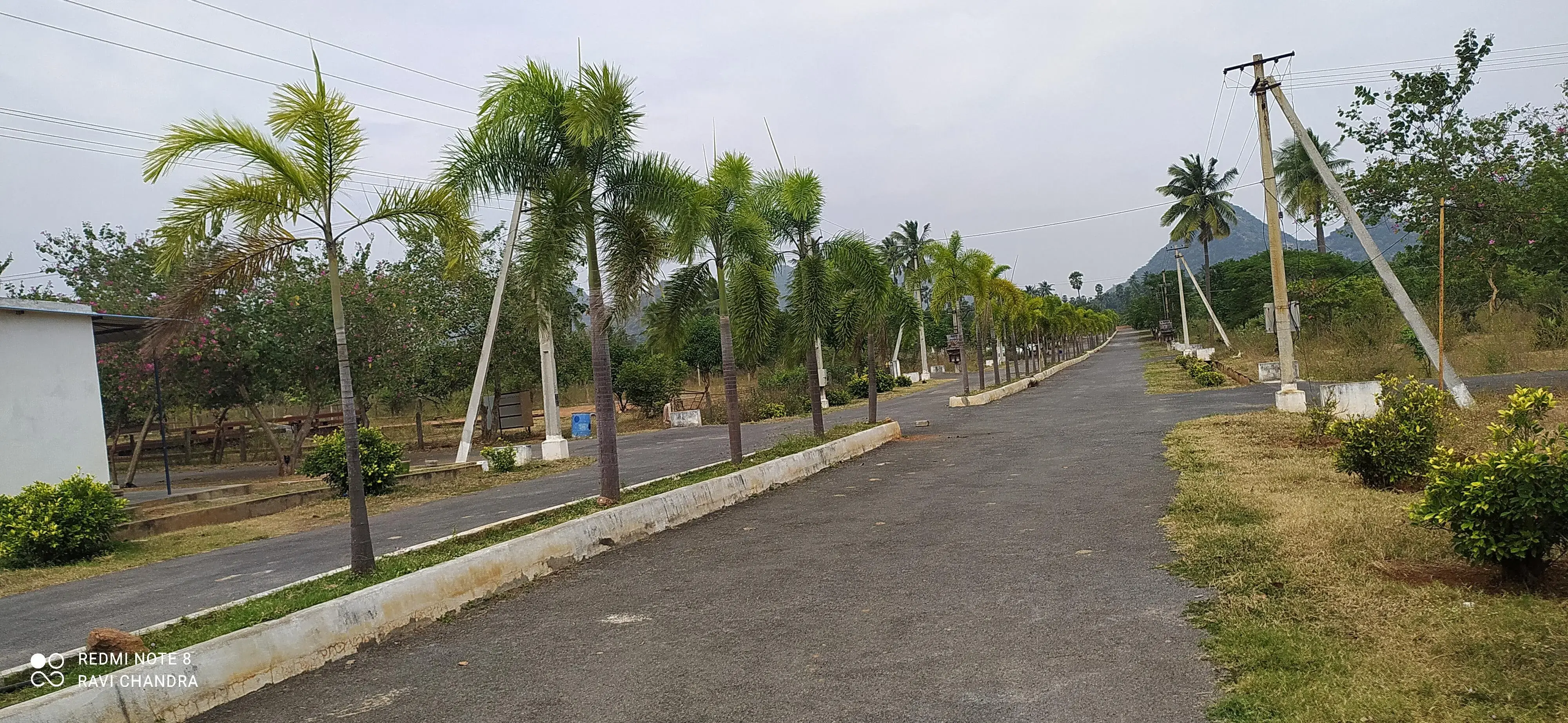 OPEN PLOTS FOR IN AGANAMPUDI, RESIDENTIAL PLOTS FOR SALE AGANAMPUDI