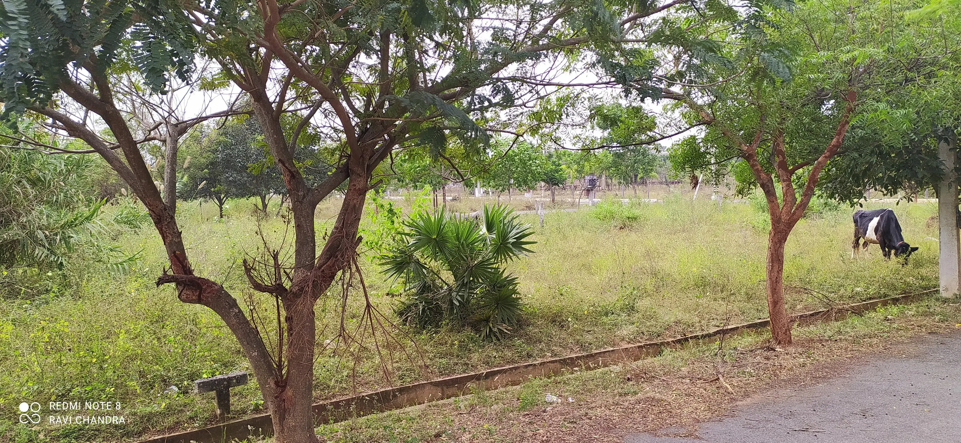 OPEN PLOTS FOR IN AGANAMPUDI, RESIDENTIAL PLOTS FOR SALE AGANAMPUDI