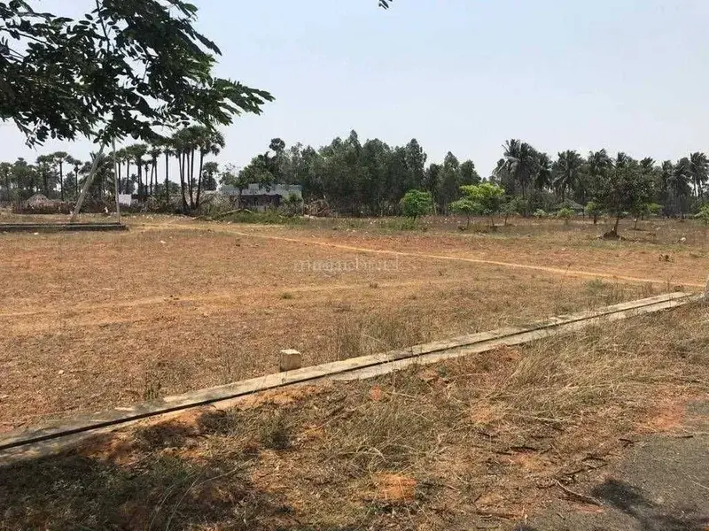 Residential Plots for Sale in Bhogapuram, 	Residential Plots for Sale in Bhogapuram, VMRDA Ventures in Bhogapuram