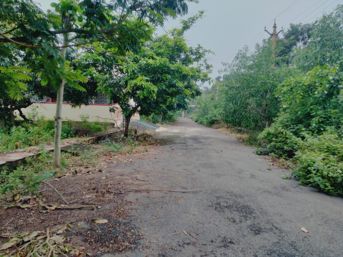 PLOTS FOR SALE AT MURALI NAGAR, MURALI NAGAR PLOTS FOR SALE