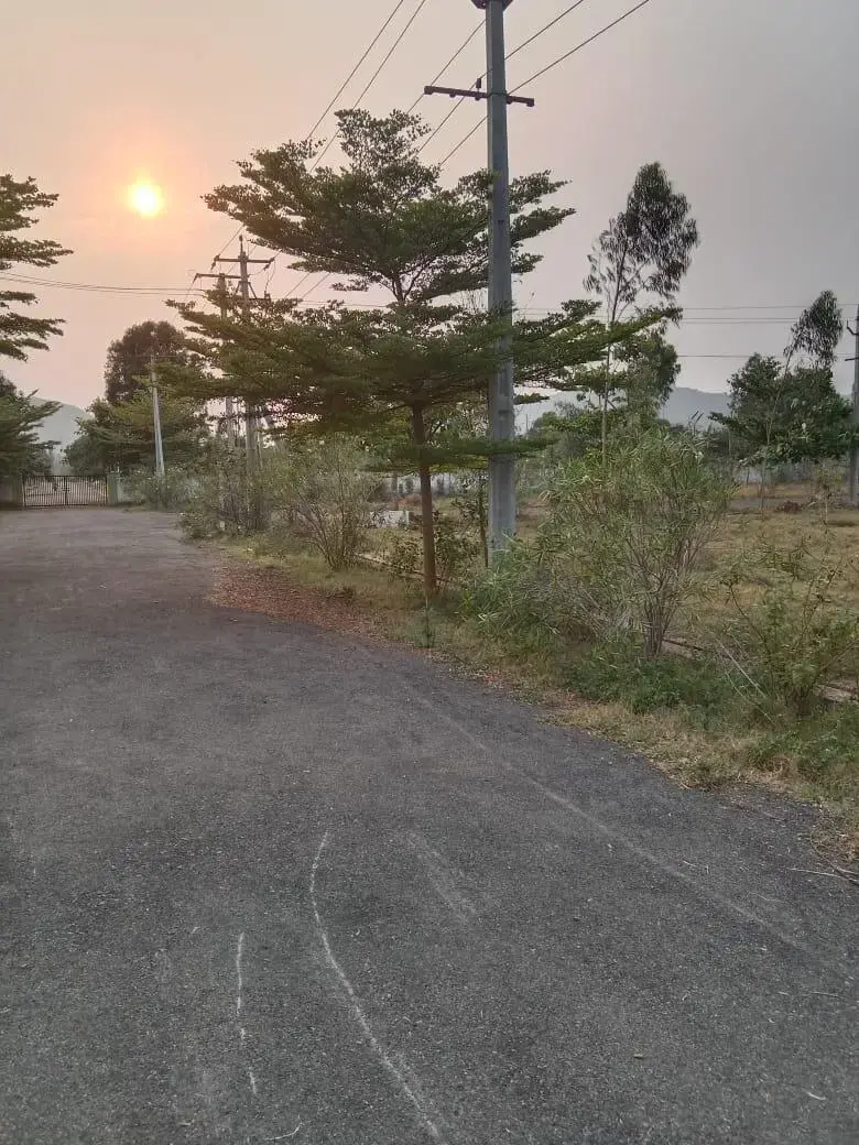 PLOTS FOR SALE IN KURMANNAPALEM, OPEN PLOTS IN KURMANAPALEM